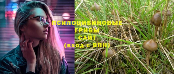 ALPHA-PVP Алексин