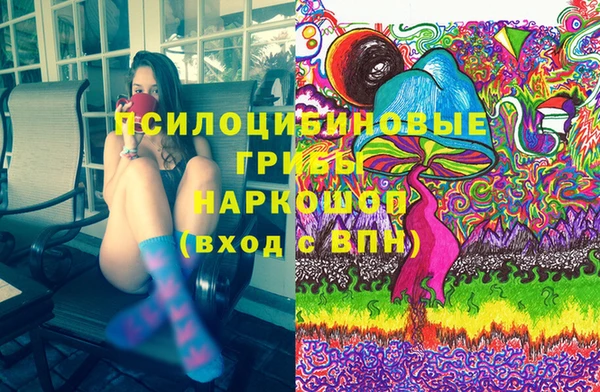 spice Алзамай