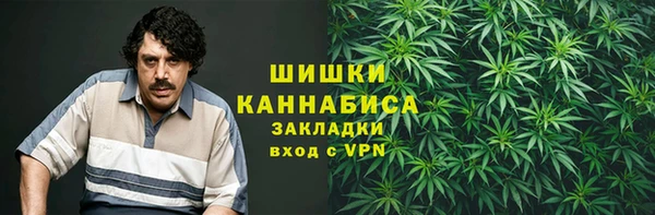 spice Алзамай