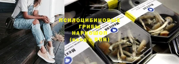 spice Алзамай